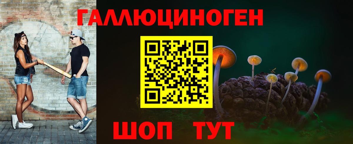 Лысьва  Псилоцибиновые грибы прущие грибы  Псилоцибиновые грибы Psilocybe  Вход с VPN 