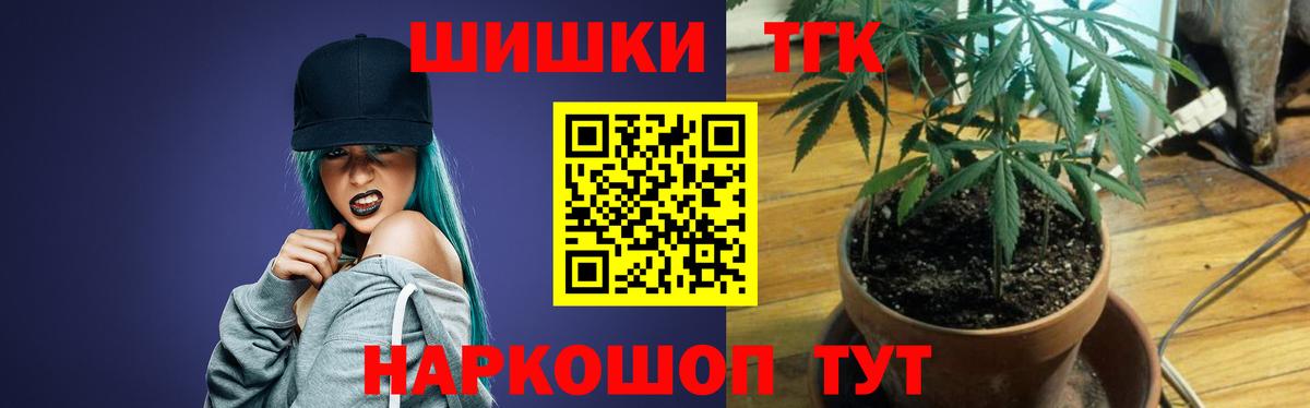 Бошки Шишки планчик  Вход с VPN  Конопля сатива  Лысьва 